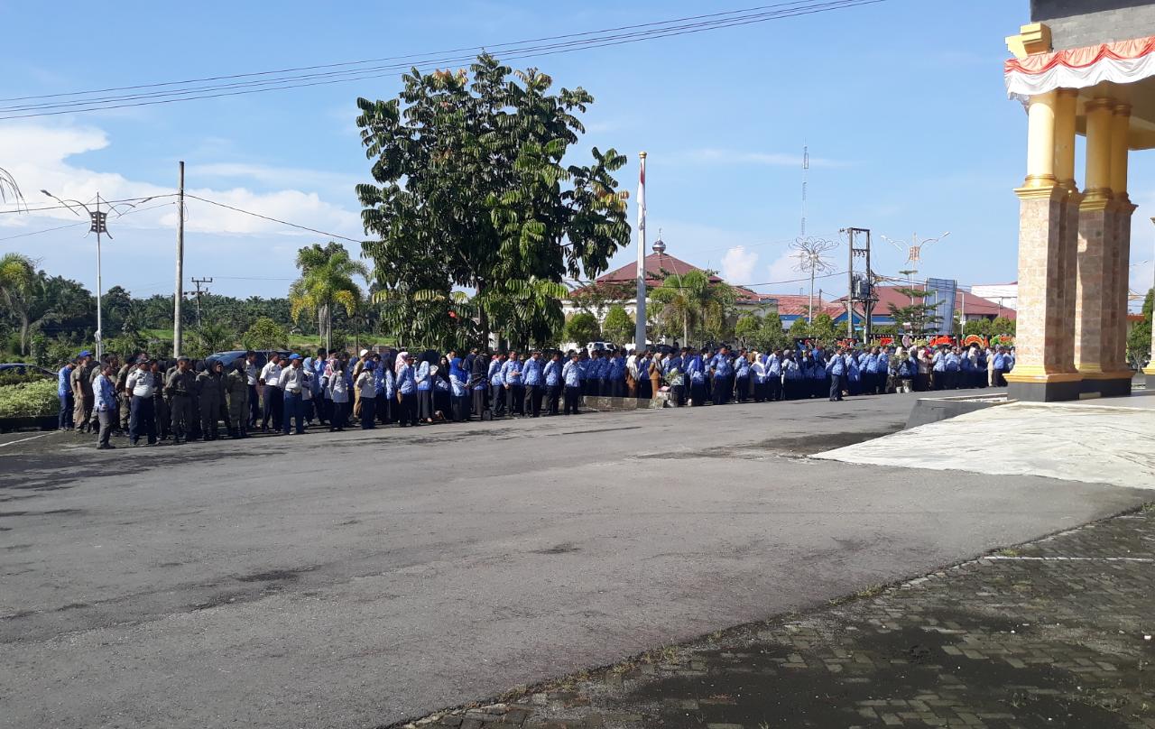 WhatsApp Image 2019 11 29 at 11.56.18