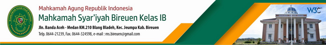 MS Bireun