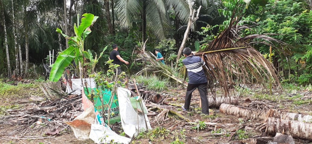 WhatsApp Image 2020 11 04 at 09.28.32