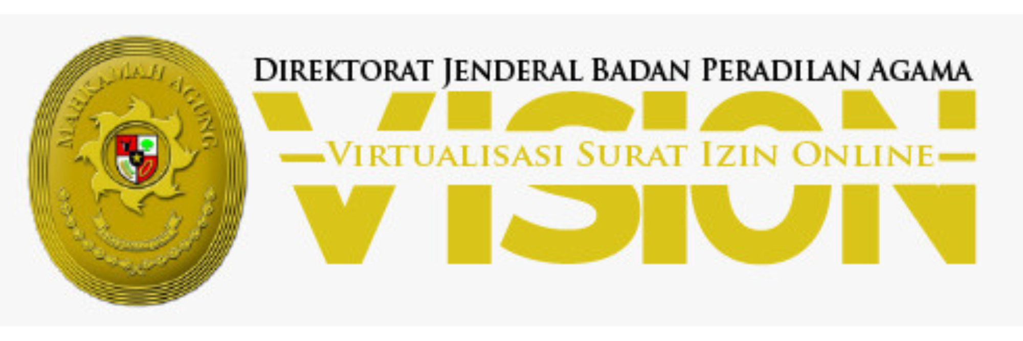 vision